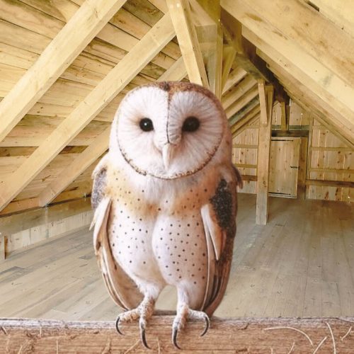 Peg the Owl